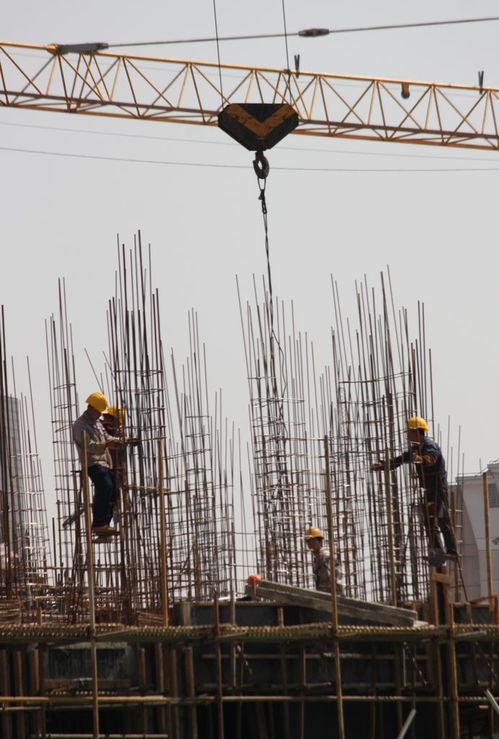 惠州市附著式升降腳手架子工證考試指南 報(bào)名、考試內(nèi)容及查詢方式